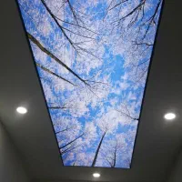 کناف کاغذ دیواری|خدمات پیشه و مهارت|سبزوار, باهنر|دیوار