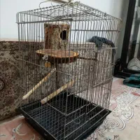 قفس مخصوص سنجاب