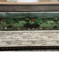 اکواریوم بزرگ