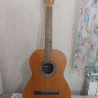 گیتار Cordoba Master|گیتار، بیس، امپلیفایر|بردسیر, |دیوار