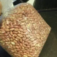 بادام زمینی