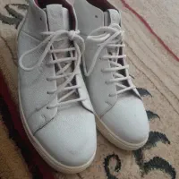 کفش نو حتی نپوشیدمش
