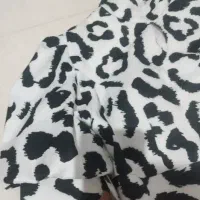 کراپ|لباس|مشهد, تربیت (صدف)|دیوار