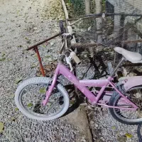 دوچرخه ۱۶صورتی