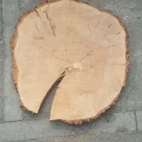 اسلب چوب گرد و بیضی