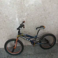 دوچرخه حرفه ای