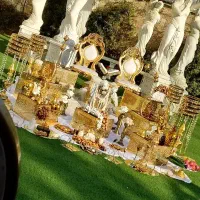 برگزاری جشن عقد عروسی تولد ختم و دورهمی|خدمات پذیرایی، مراسم|شهریار, شهرک شاهد|دیوار