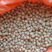 فروش یک تن نخودو ۳۰۰ کیلو نخود