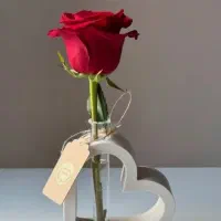 گلدان گلجا قلبی