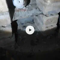 کبوتر
