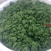 پنیر و ماست و عسل انواع سبزیجات محلی