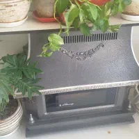 بخاری پلار معاوضه با طوطی