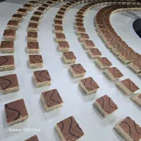 مدیر و سرپرست تولید صنایع غذایی(ناب سان)