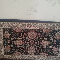 شش عددپشتی