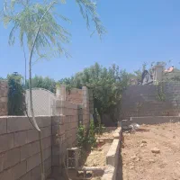باغ شهری دهشیخ دارای درب و دیوار و برق و اب|فروش زمین و ملک کلنگی|ارژن, |دیوار