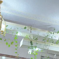 واسه خریدارواقعی تخفیف داره|لوستر و چراغ آویز|اهواز, گلستان|دیوار