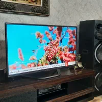 تلویزیون ال ای دی ال جی همراه بامیز|تلویزیون و پروژکتور|میاندوآب, |دیوار