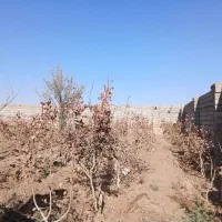 منزل ویلای با آب هوای کویری توریستی تاکویر2کیلومتر|فروش خانه و ویلا|فیروزه, |دیوار