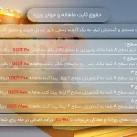 درآمد دلاری روزانه تا ۲ میلیون کاملا واقعی|استخدام رایانه و فناوری اطلاعات|شیراز, حومه شیراز|دیوار