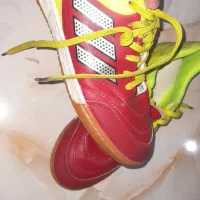 کفش سالن|کیف، کفش، کمربند|تبریز, |دیوار