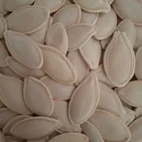 تخمه کدو اعلاء خام|خوردنی و آشامیدنی|قم, شاه سید علی|دیوار