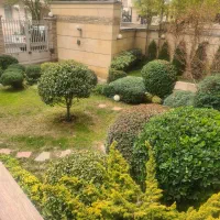 لابی من بازنشسته