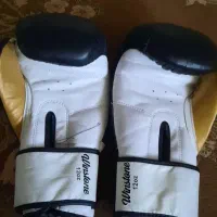 دستکش بوکس چرب اصل|ورزش‌های توپی|شاندیز, |دیوار