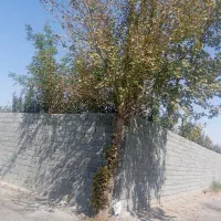 باغچه-500متری-دونبش