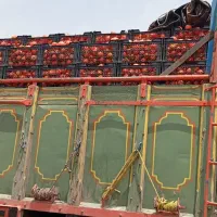 نیازمندراننده کمکی تک باری