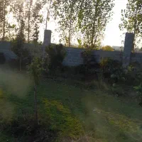 باغ مرکبات|فروش زمین و ملک کلنگی|هادی شهر, |دیوار