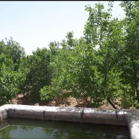 باغ ۵۰۰ متری سرسبز کهریزسنگ
