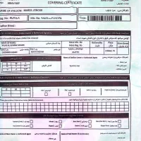 اسب|اسب و تجهیزات اسب‌سواری|رامهرمز, |دیوار