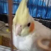 لطفا اطلاع بدین