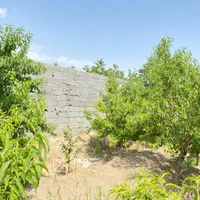 باغچه و باغ 500متر،چهاردیوارقدیمی،وسط باغات|فروش زمین و ملک کلنگی|فردوسیه, |دیوار