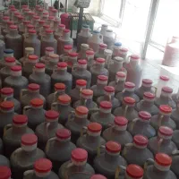 درمانی گون انخ کاکوتی