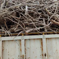 خرید وفروش انواع چوب درخت