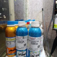 عطر فرعون . مگاماره . اونتوس|آرایشی، بهداشتی، درمانی|تهران, حصار بوعلی|دیوار