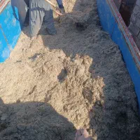 کاه|عمده‌فروشی|کاشان, امیرکبیر|دیوار