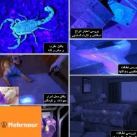 چراغ قوه یووی برای تشخیص سنگ گرانبها|کوهنوردی و کمپینگ|کرمان, |دیوار