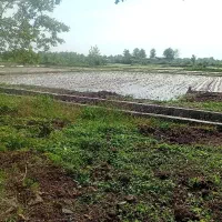 زمین مسکونی شالی 5000متر تلفیقی