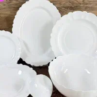 انواع ظرف پذیرایی و غذاخوری به قیمت کارخانه