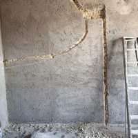 پیکورکاری وشیارزنی