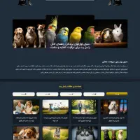 یک وب‌سایت حرفه‌ای، یک بار برای همیشه.|خدمات رایانه‌ای و موبایل|تهران, تهرانپارس غربی|دیوار