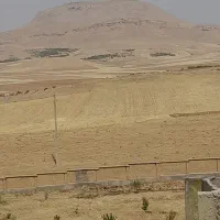 جارو محلی درجه یک