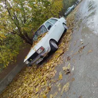 پیکان مدل ۷۹ کف خواب