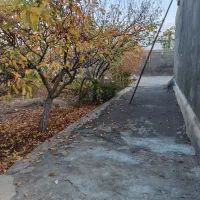 اجاره حیاط|اجارهٔ خانه و ویلا|جلفا, |دیوار