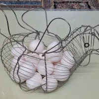 دکوری|لوازم خیاطی و بافتنی|مشهد, کارمندان دوم|دیوار