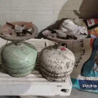 پیکنیک و کپسول