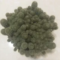 گلدان کاکتوس