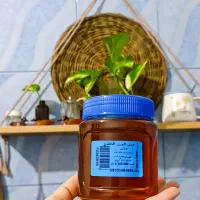 فروش عسل طبیعی وخواص درمانی بصورت عمده وتکی